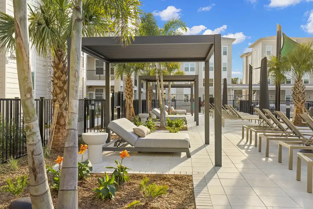 Apartment in Tampa - View 3