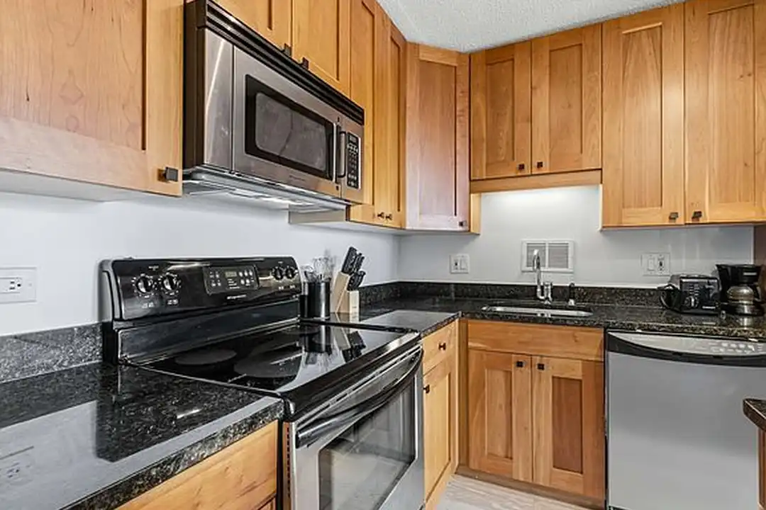 450 W Briar Pl unit 16 - View 2