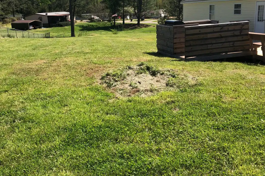 1305 Ewing Dr - View 5