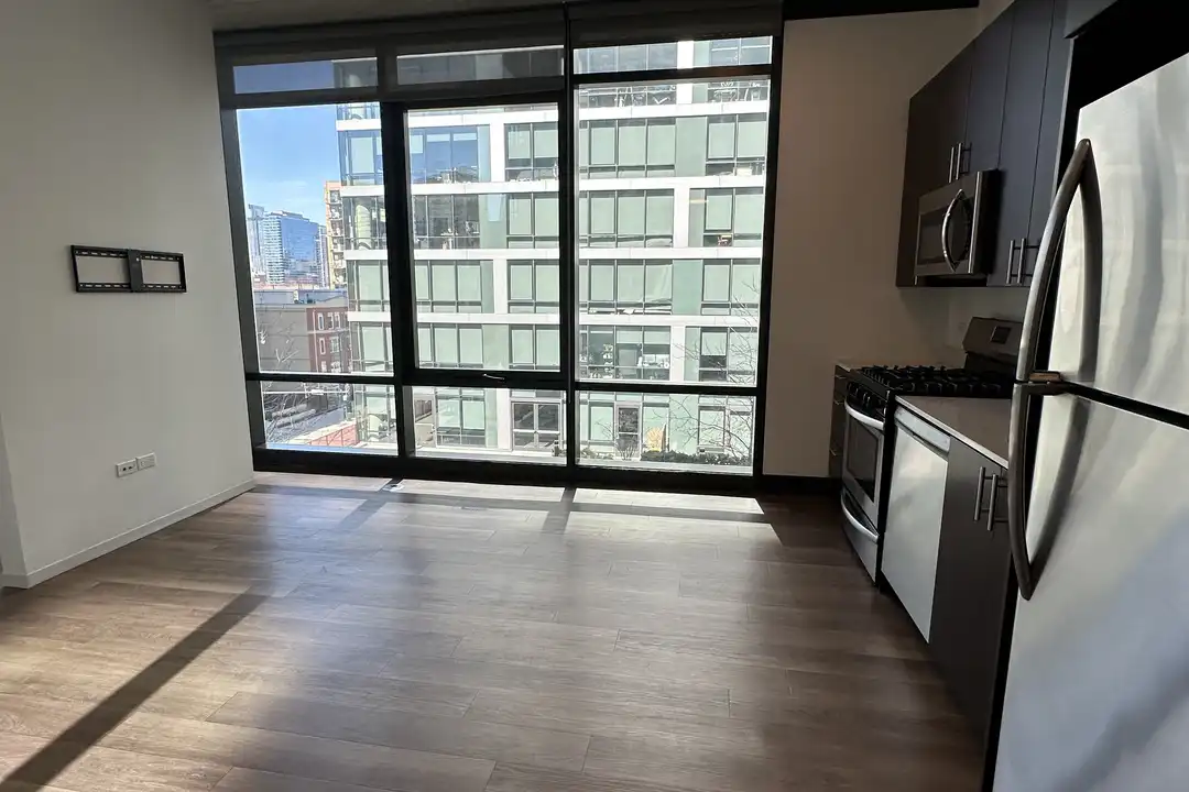 1430 S Michigan Ave unit 2-501 - View 2