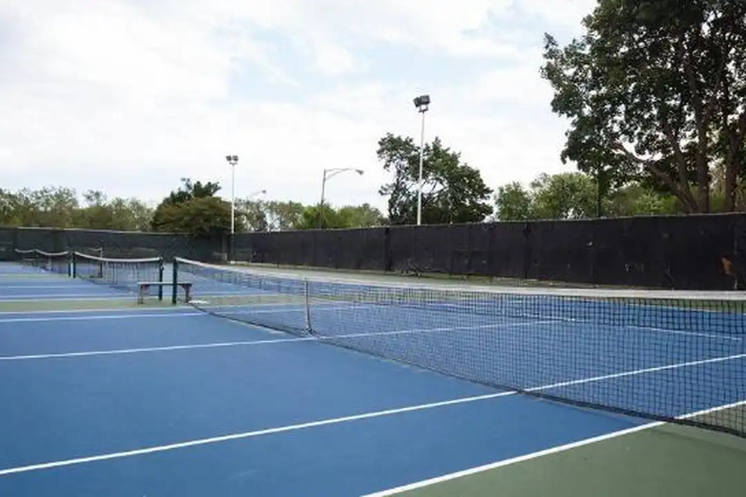 3233 S King Dr - View 4