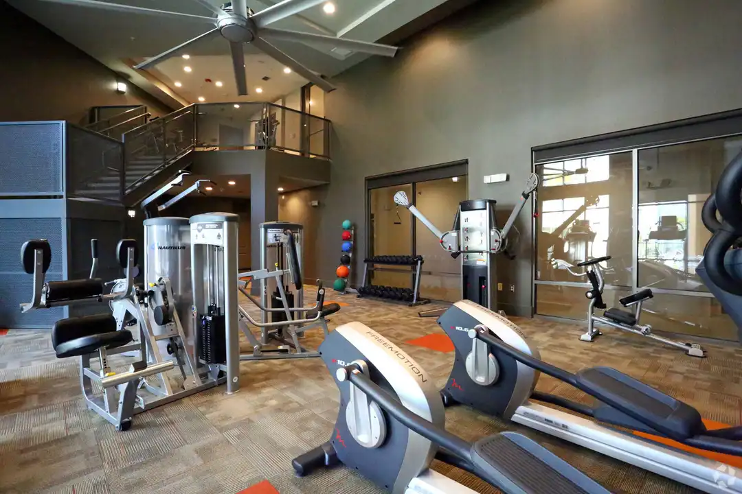 Apartment in Austin - View 4