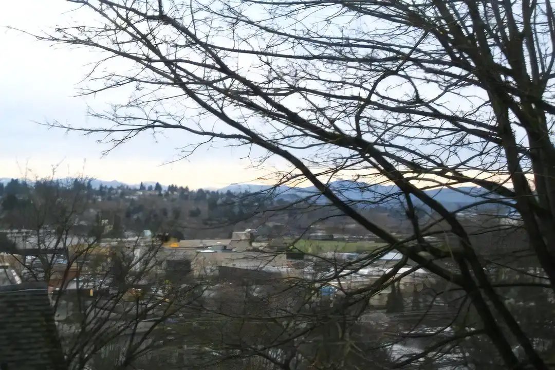 4754 22nd Ave NE - View 2