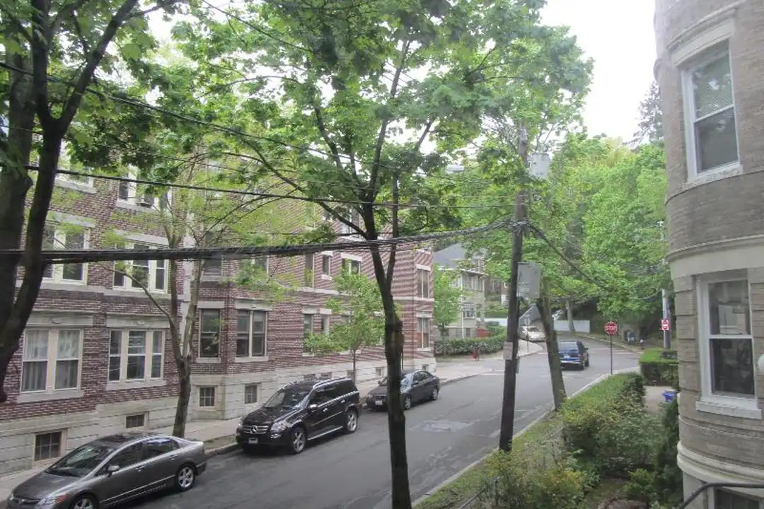 Apartment in Brookline - View 3