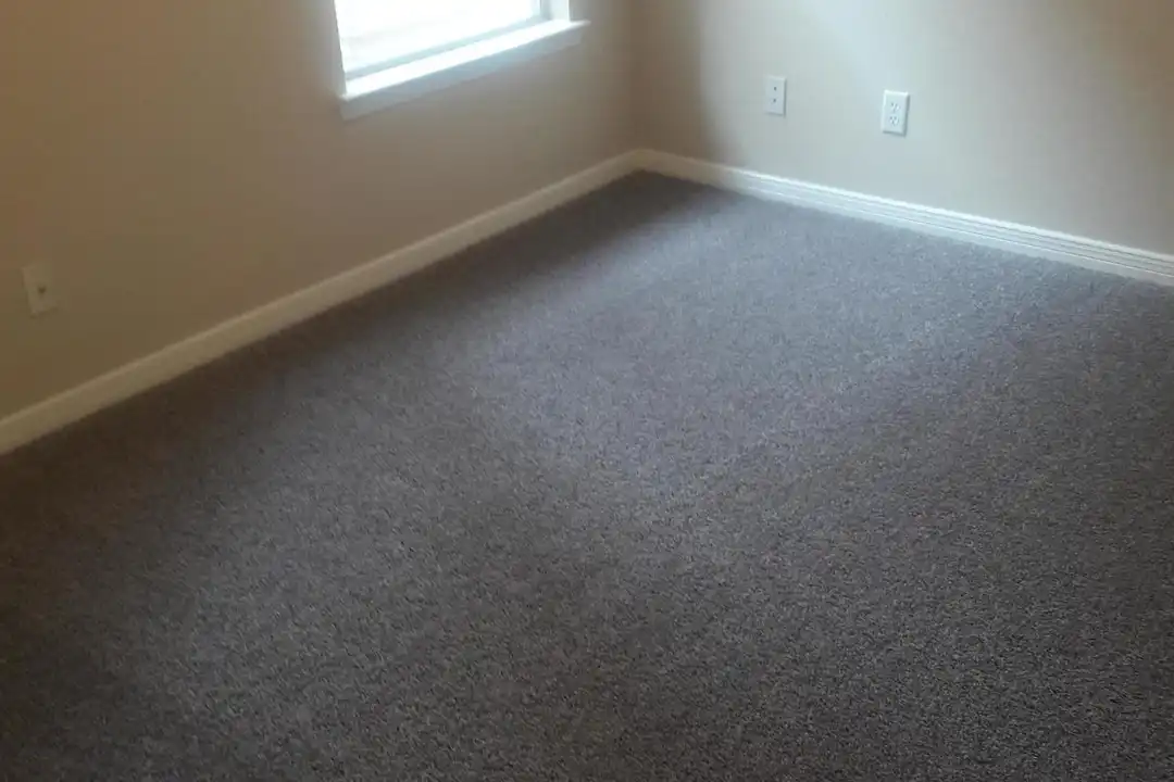 517 Belvidere St #B - View 6