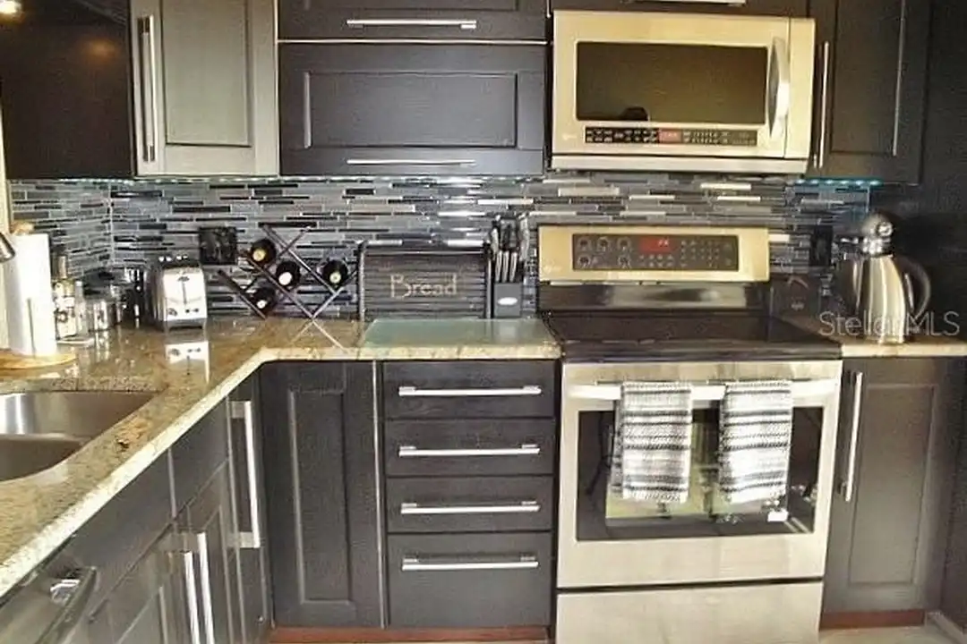 6294 Bahia Del Mar Cir #215 - View 4