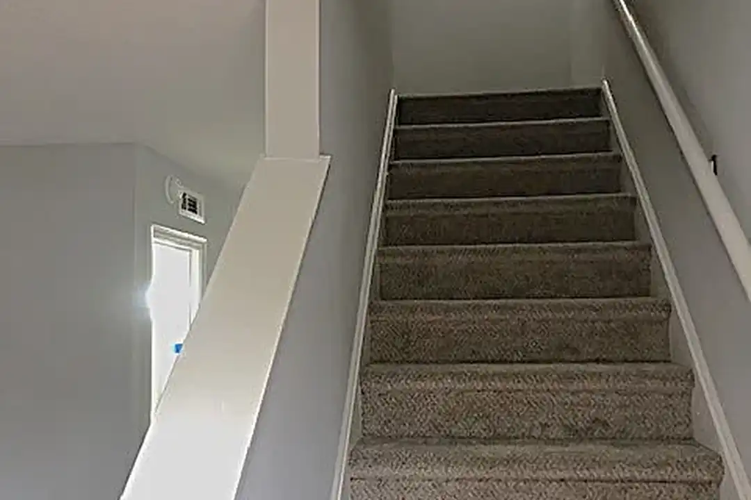 Forest Park Apartments - View 6