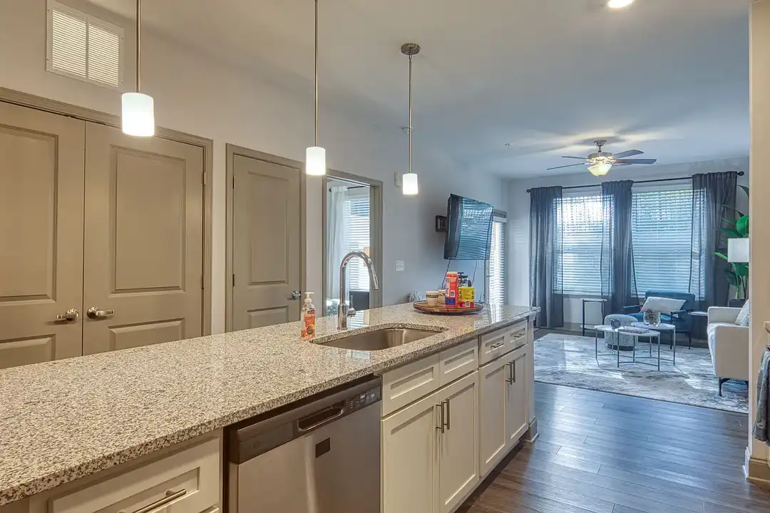 The View at Blue Ridge Commons – photo 1