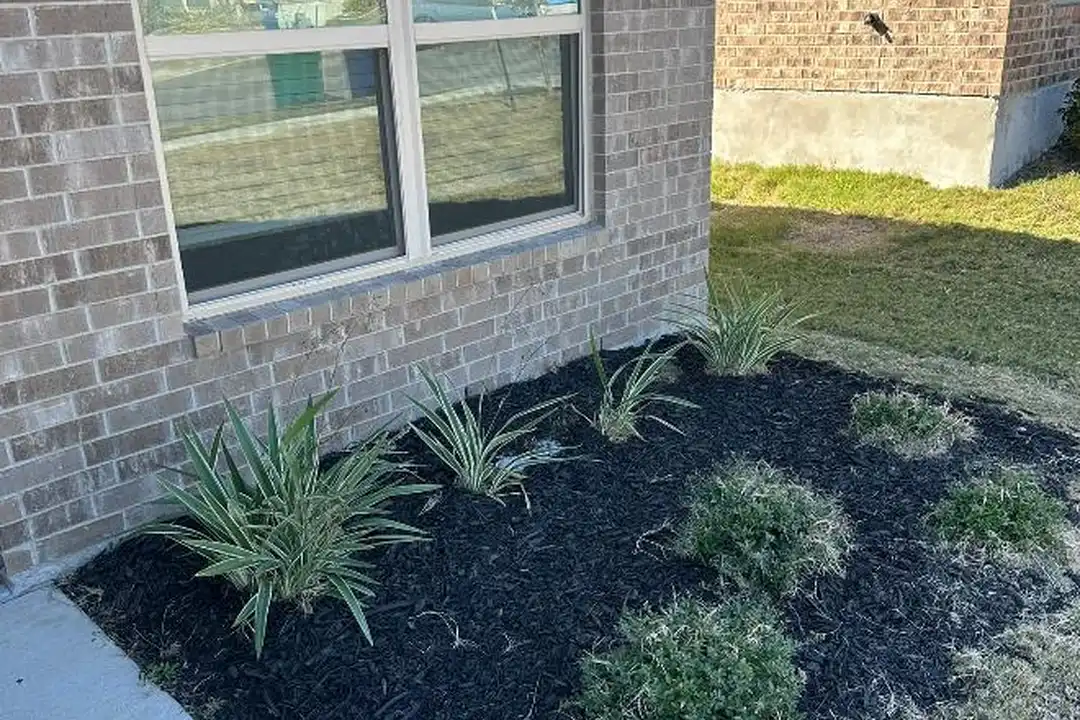 1209 Lehmann Dr - View 3