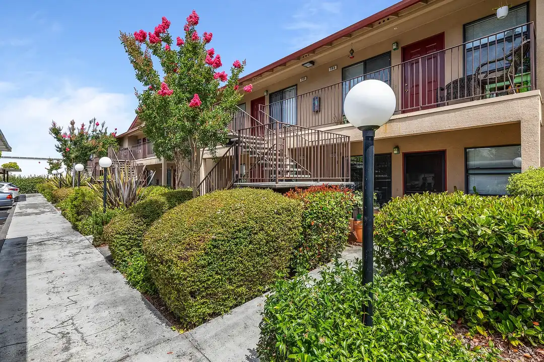 Apartment in Rohnert Park - View 2