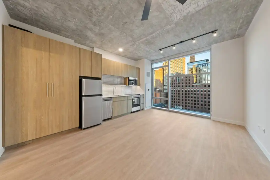 202 W Institute Pl - View 4