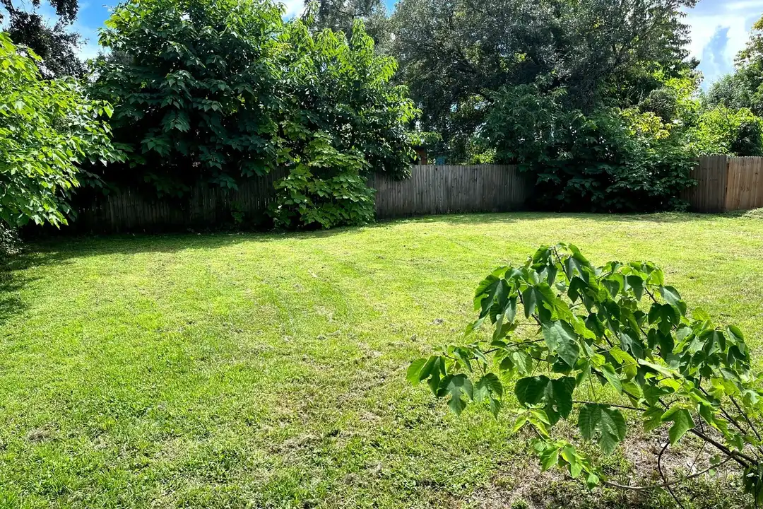 House in Tampa - View 3