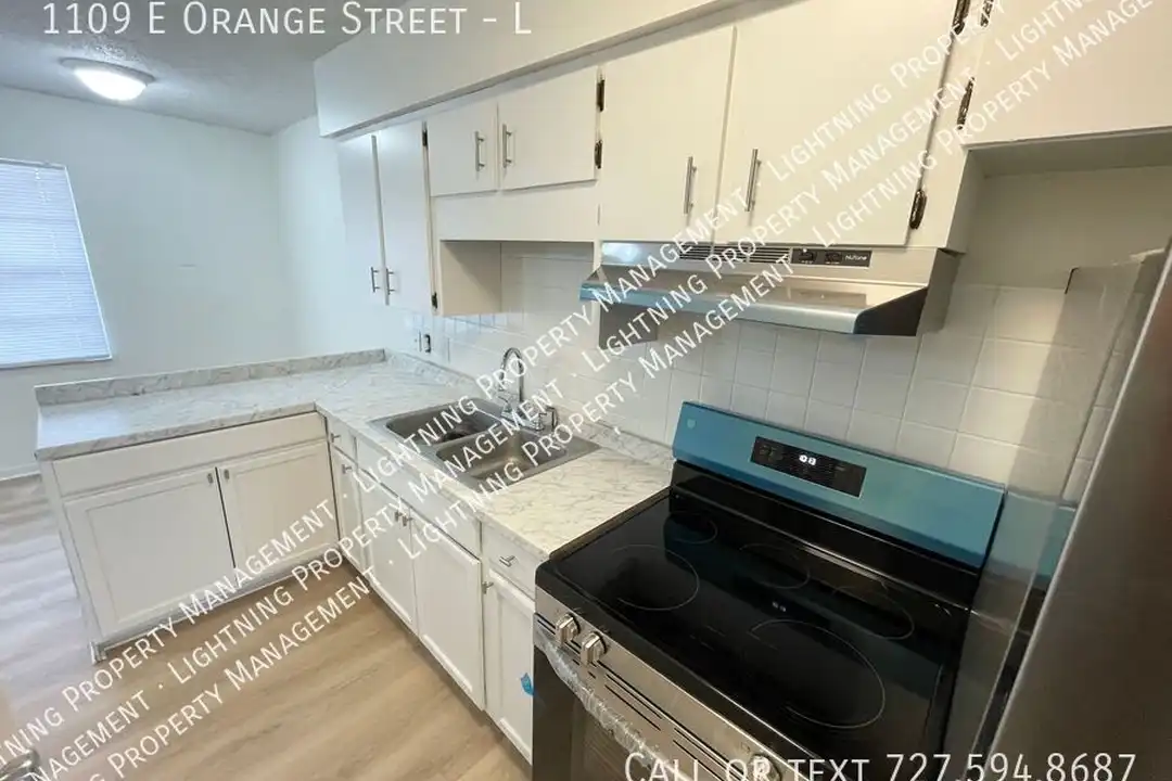 1109 E Orange St - View 4