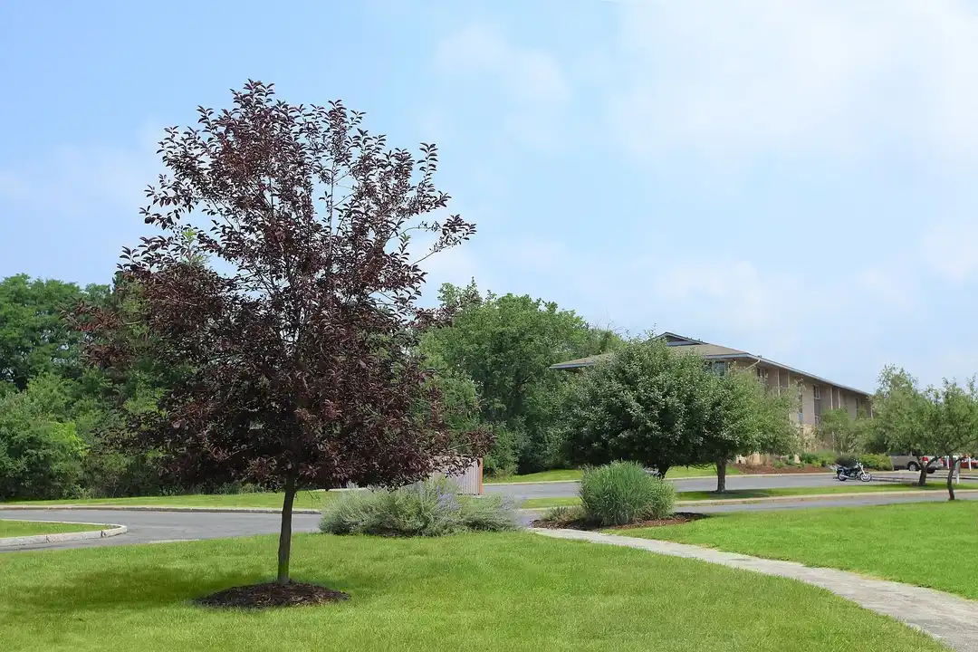Warren Wood – photo 1