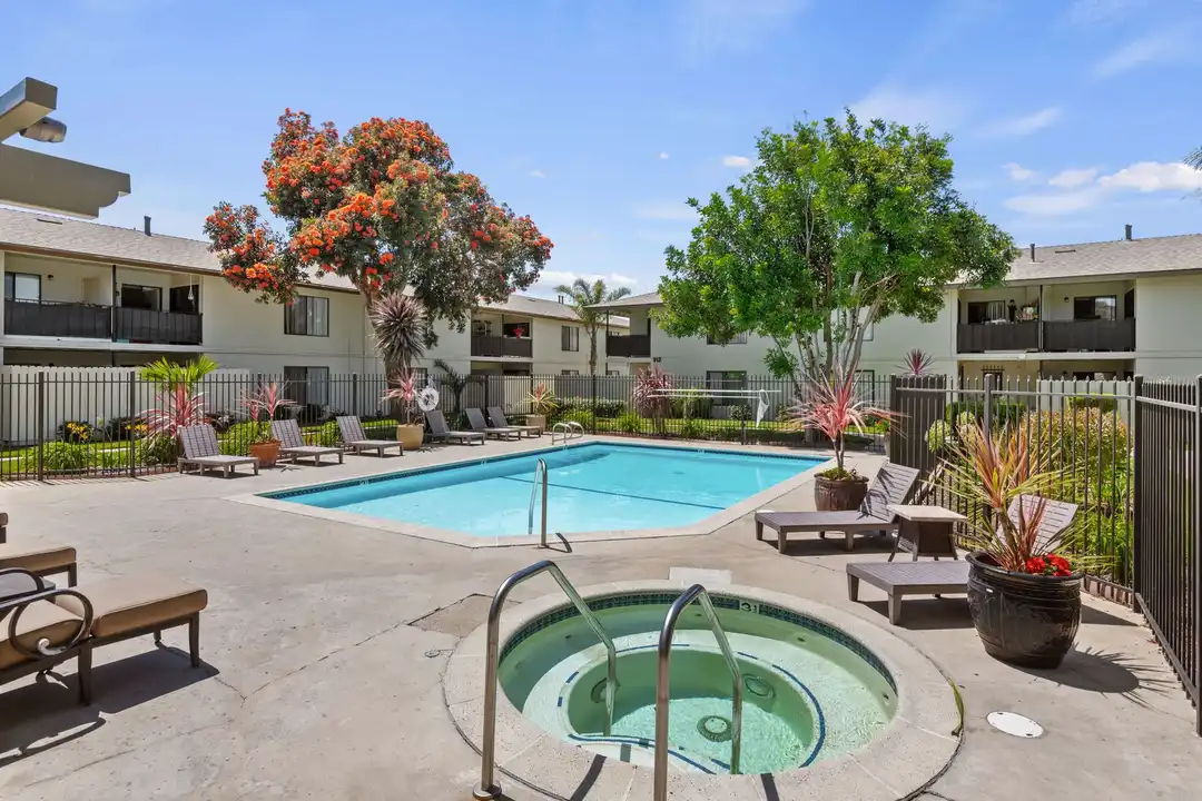 Bay Laurel - View 2
