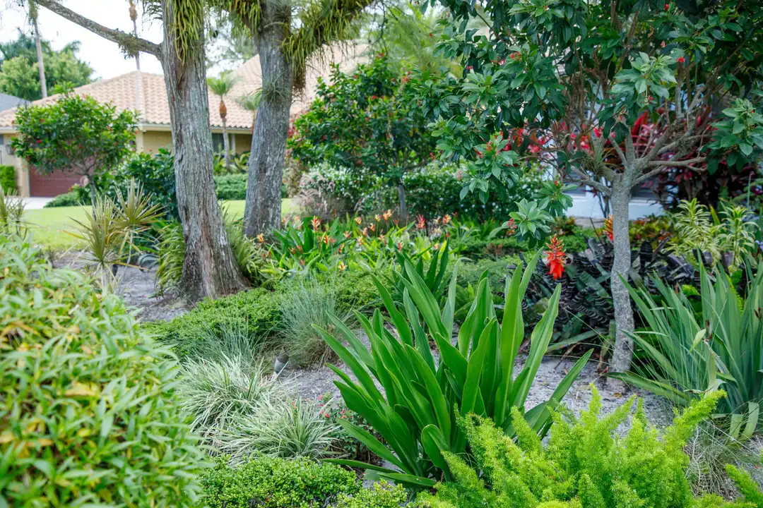 900 Cosmos Ct - View 3