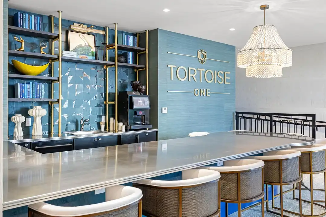 Tortoise One – photo 1