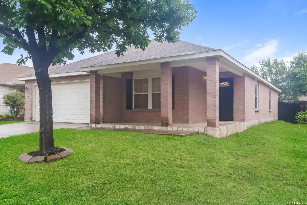 172 Texas Mulberry - View 2
