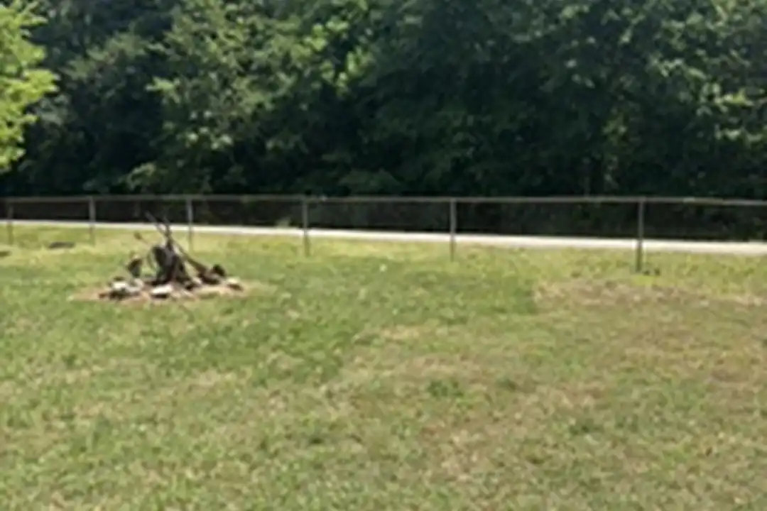 424 Alverson Rd - View 6