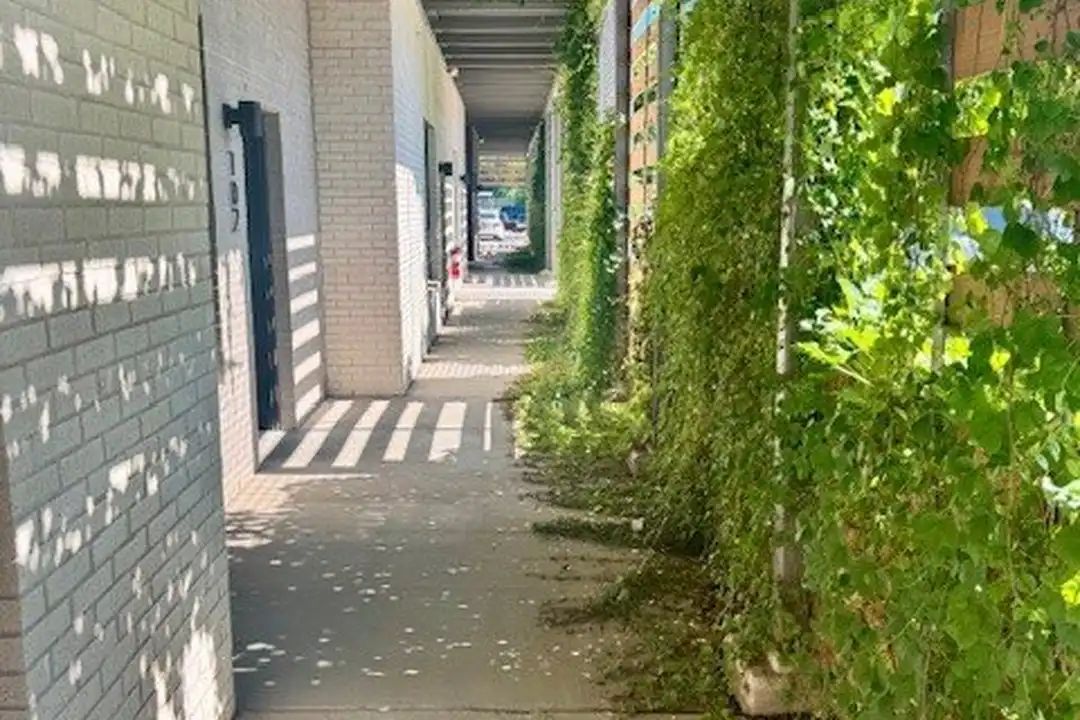 726 E Emma Ave #307 - View 3