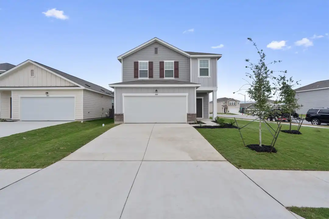 1000 Sika Cv - View 2