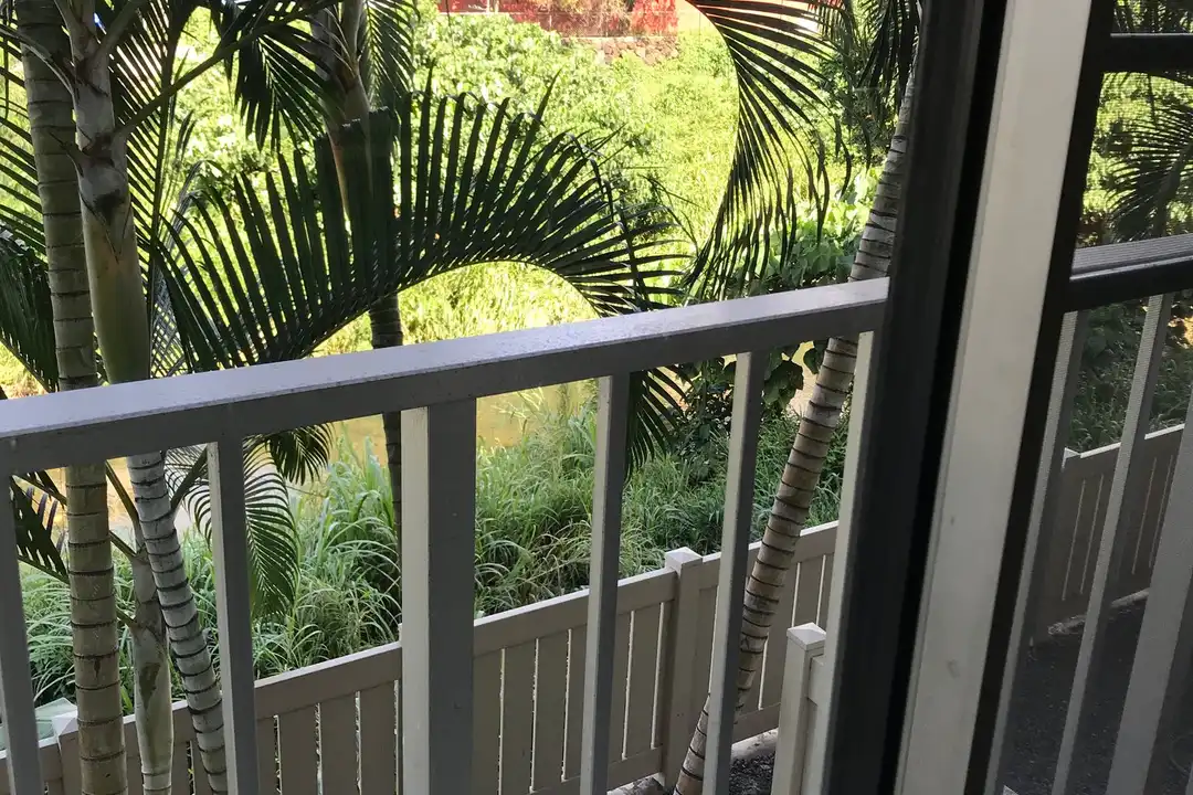 2845 Waialae Ave - More