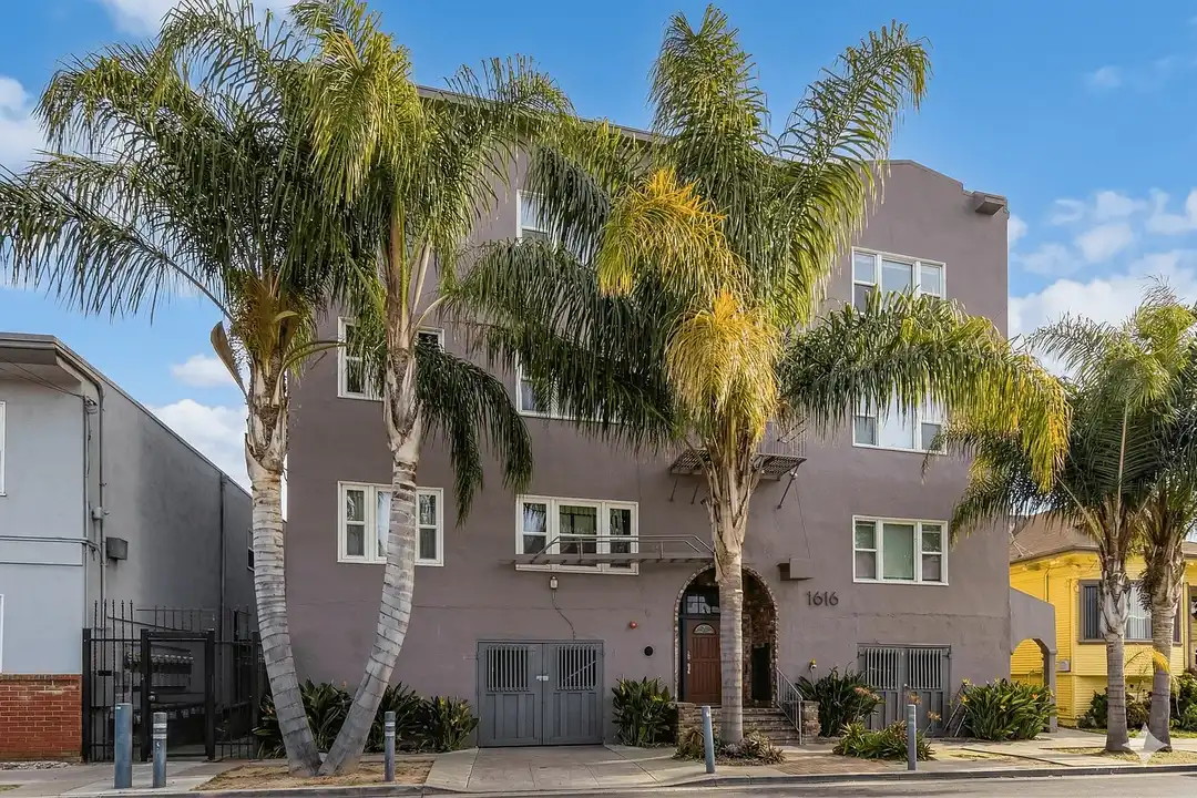 Palm Haus – photo 1