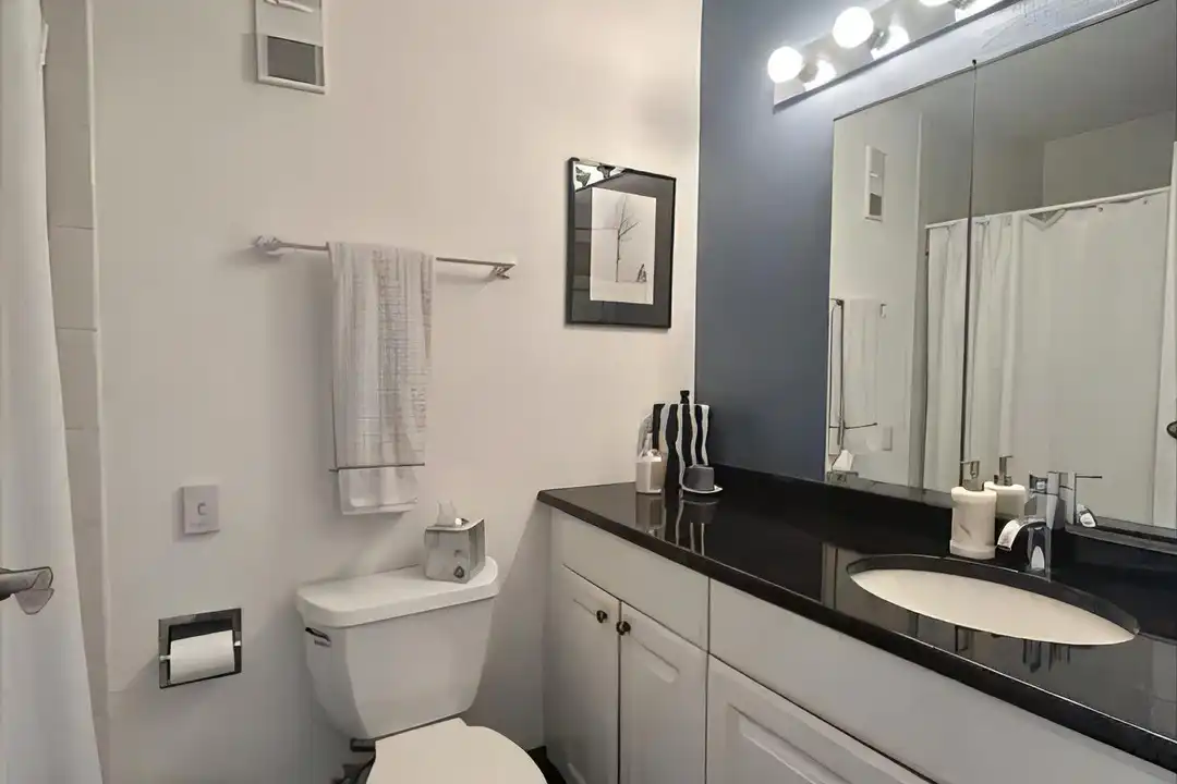 1625 Larimer St unit 3101 - View 4
