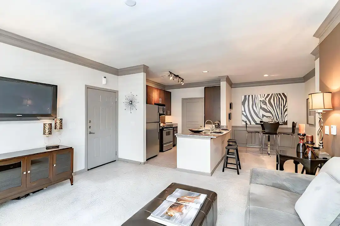 505 E Exchange Pkwy unit 07212 - More