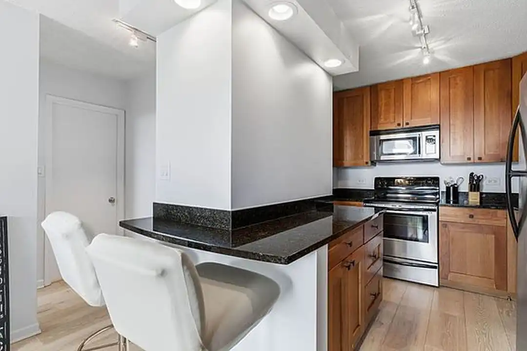 450 W Briar Pl unit 16 - View 3