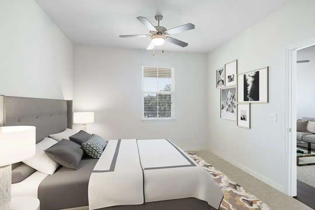 Cortona South Tampa – pohled 5