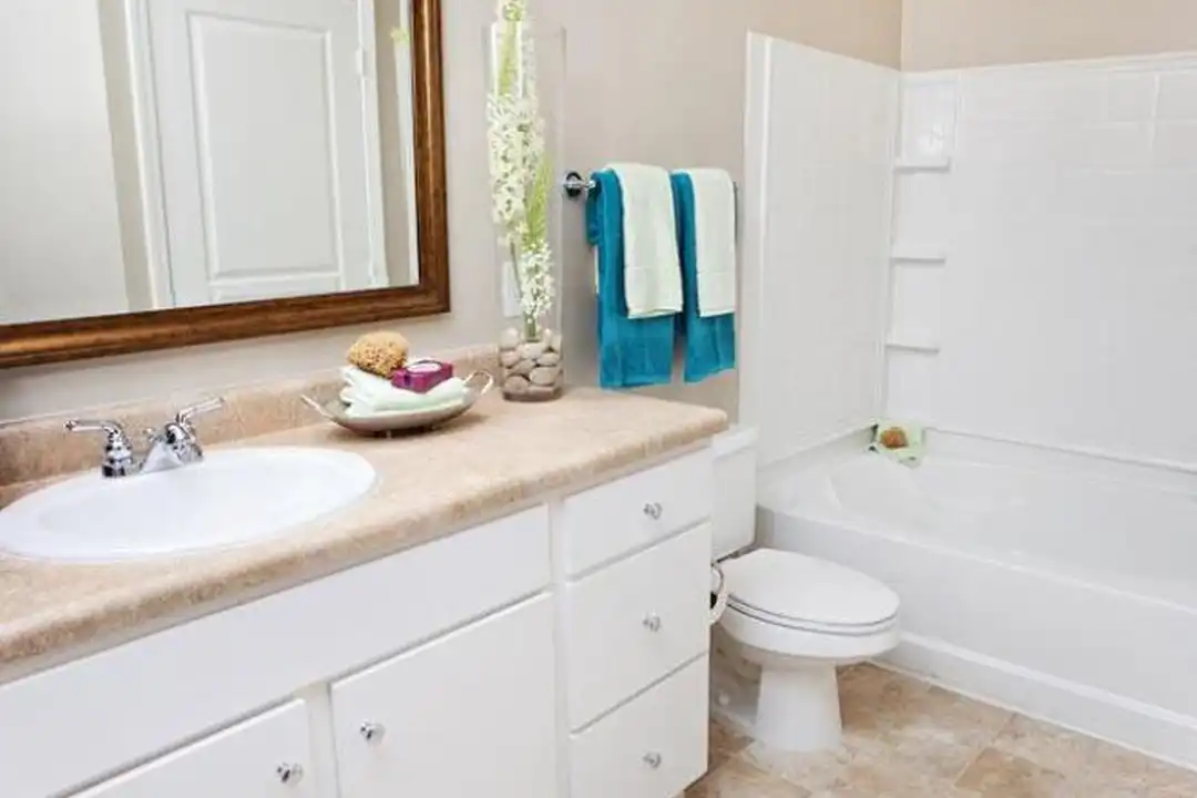1017 Umstead Hollow Pl - View 5
