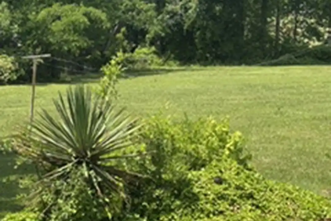 424 Alverson Rd - View 2
