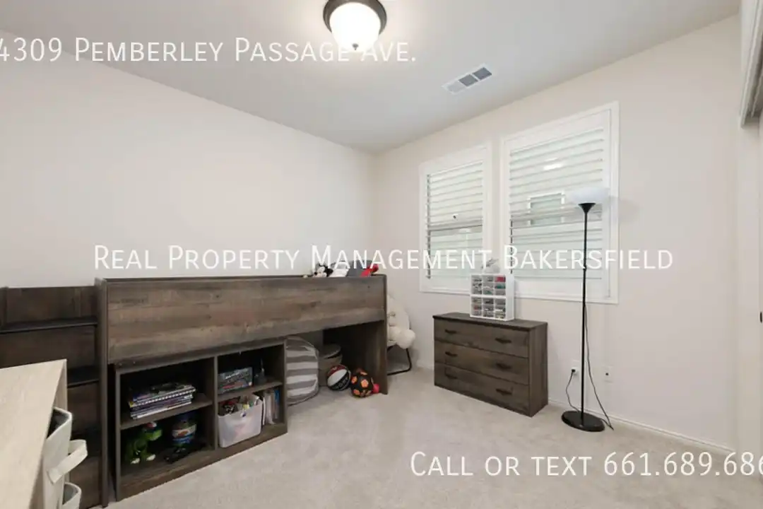 14309 Pemberley Passage Ave - More