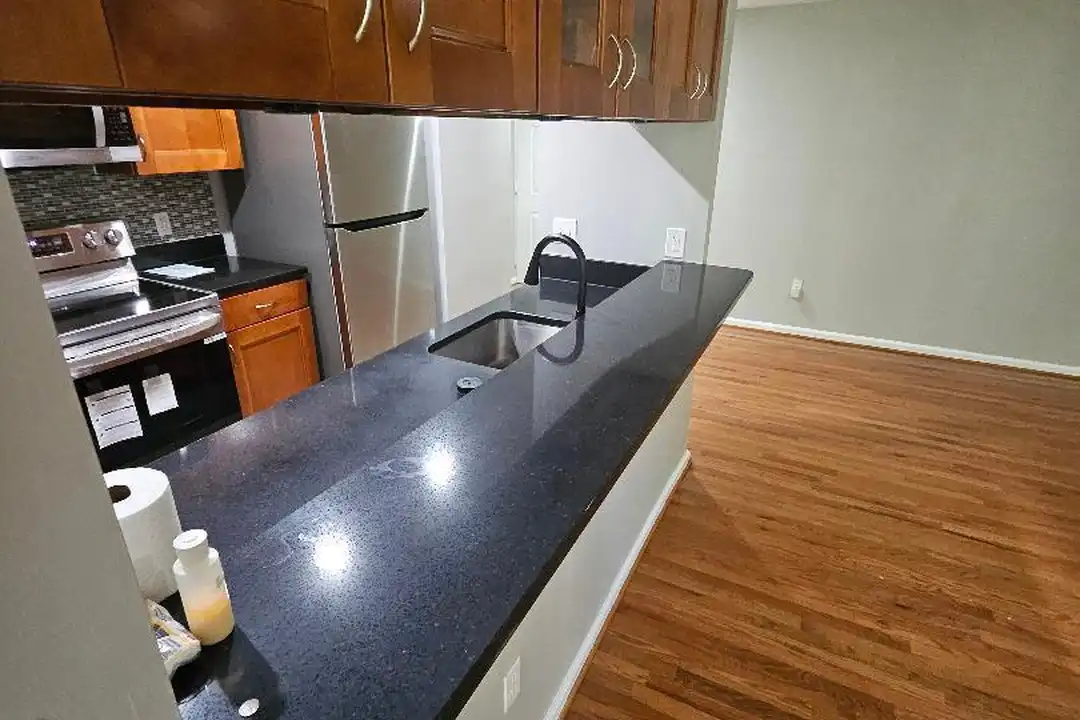 9811 Lake Point Ct unit 203 - View 5