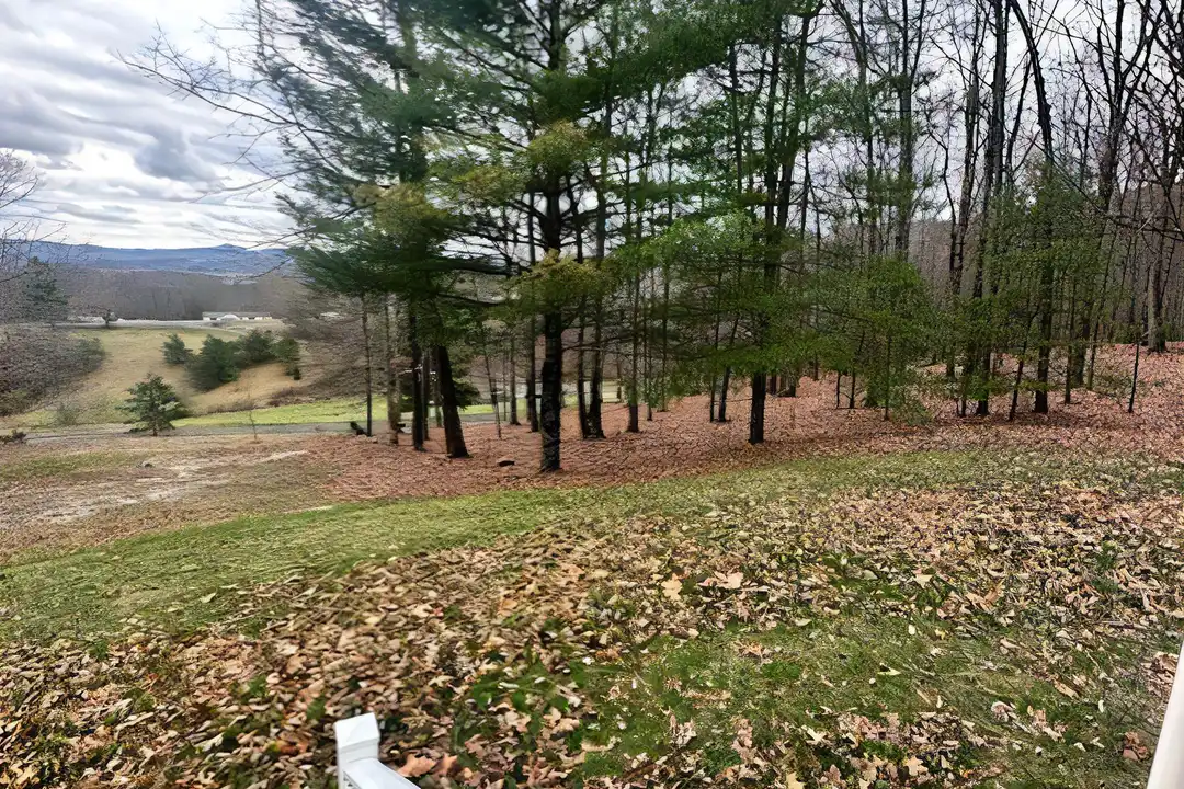 440 Shadow Ln - View 2