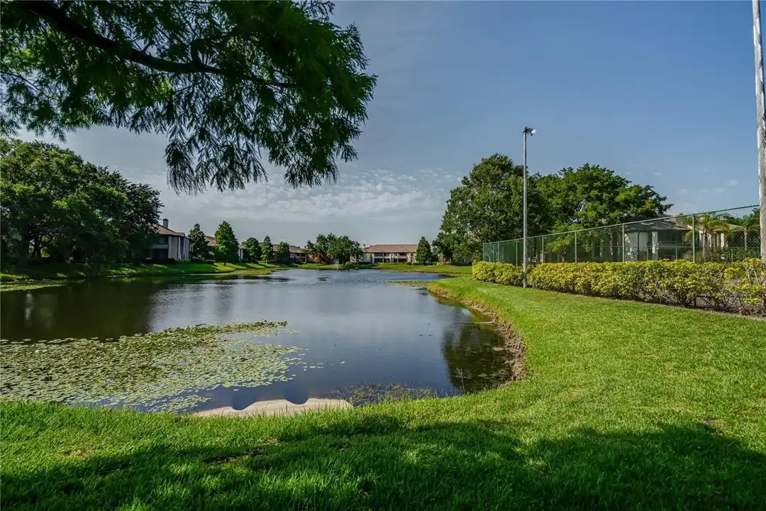 10263 Gandy Blvd N #2106 - View 4