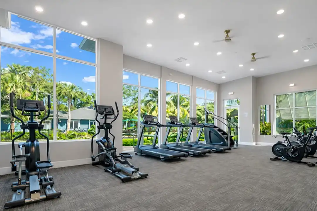 Viva Palm Coast - View 3