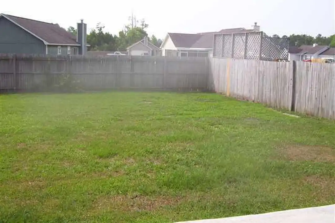 267 Parnell Rd - More