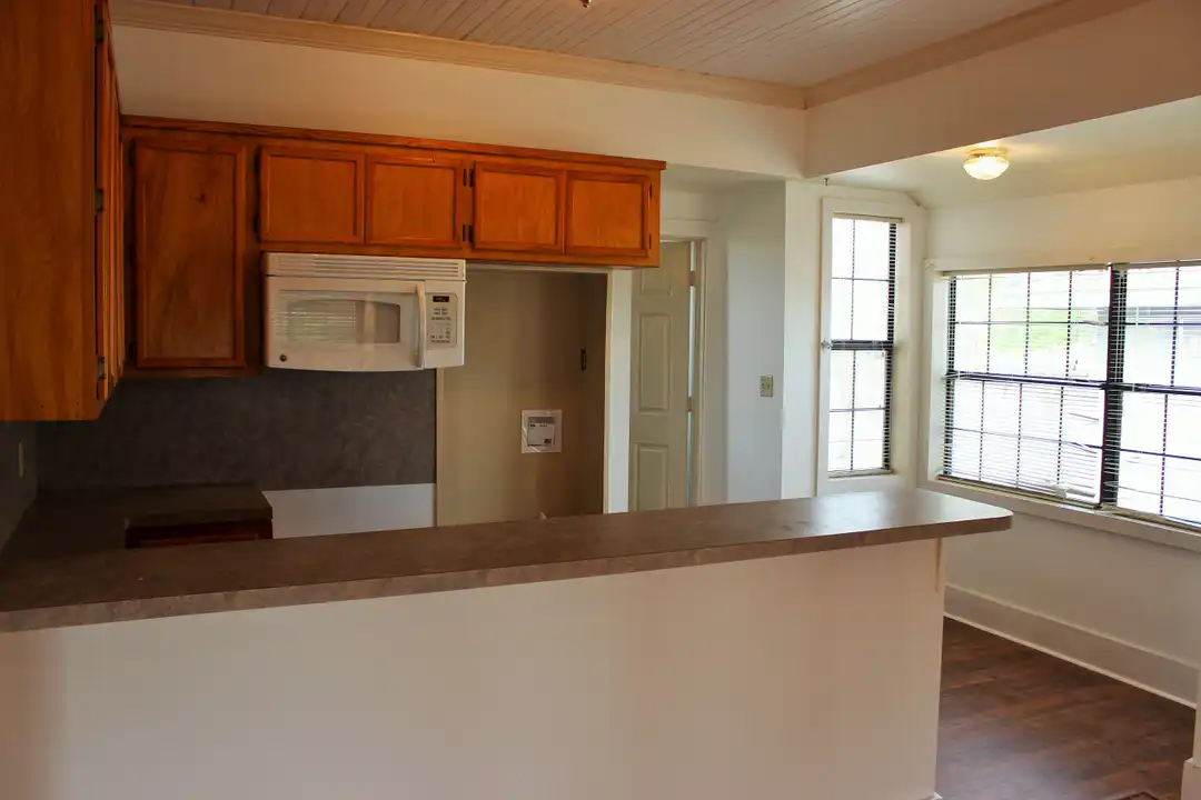 1003 E Alamo St - View 3