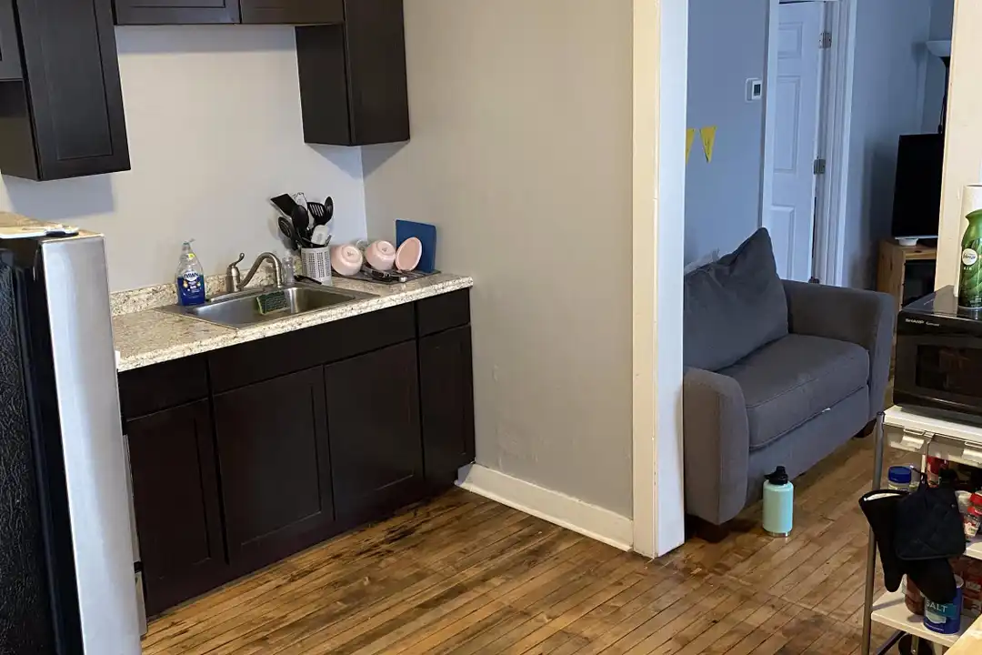 4558 S Justine St unit 2M - View 2