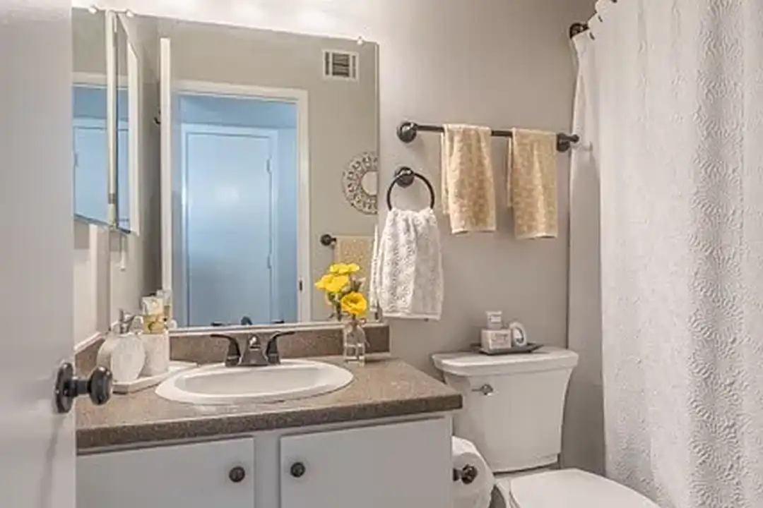 The Village at Cottonwood Springs – photo 1