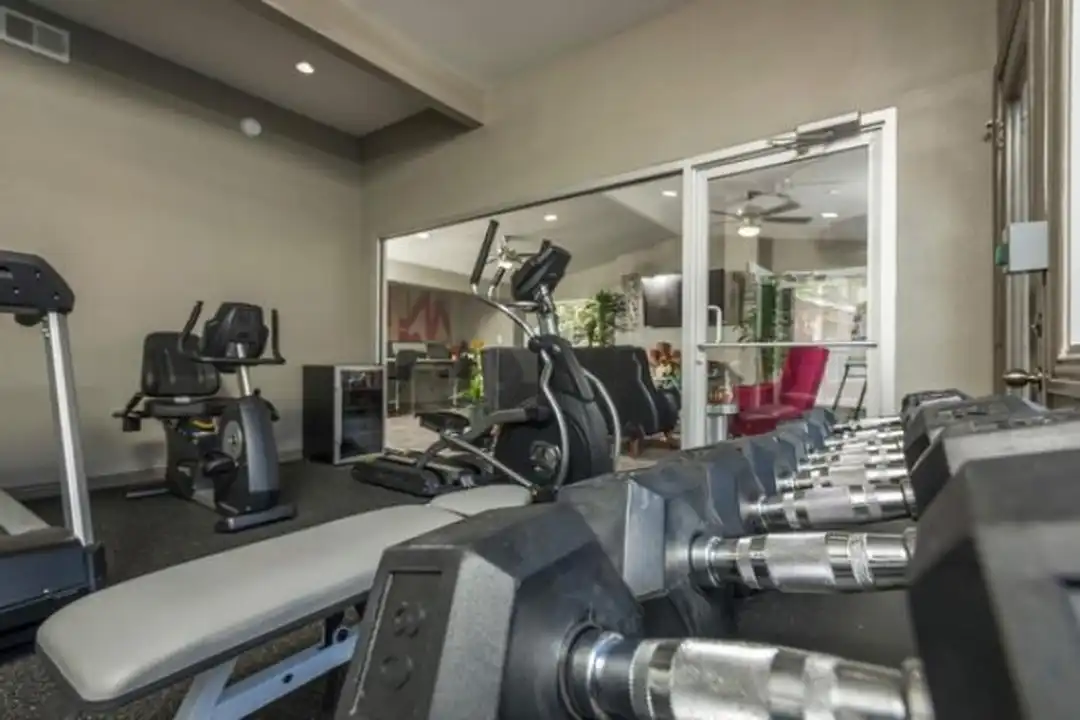 Apartment in Houston - More
