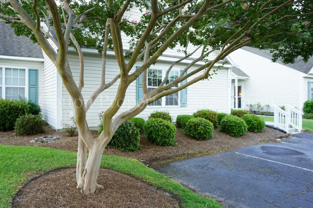 4604 Song Sparrow Ct – photo 1