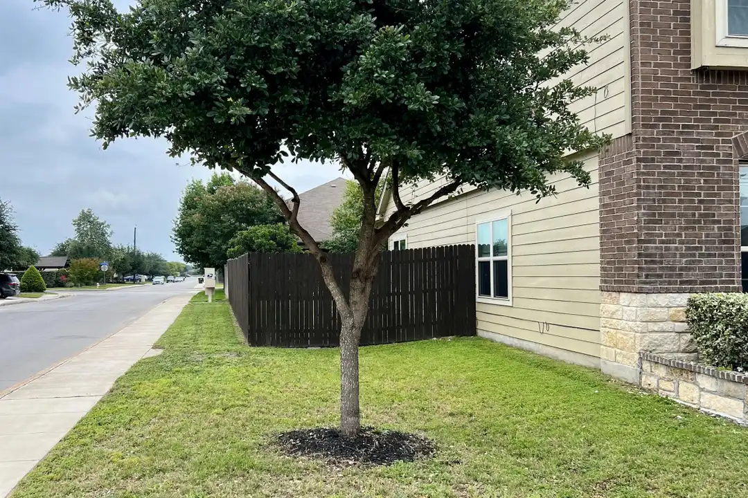 House in San Antonio - View 3