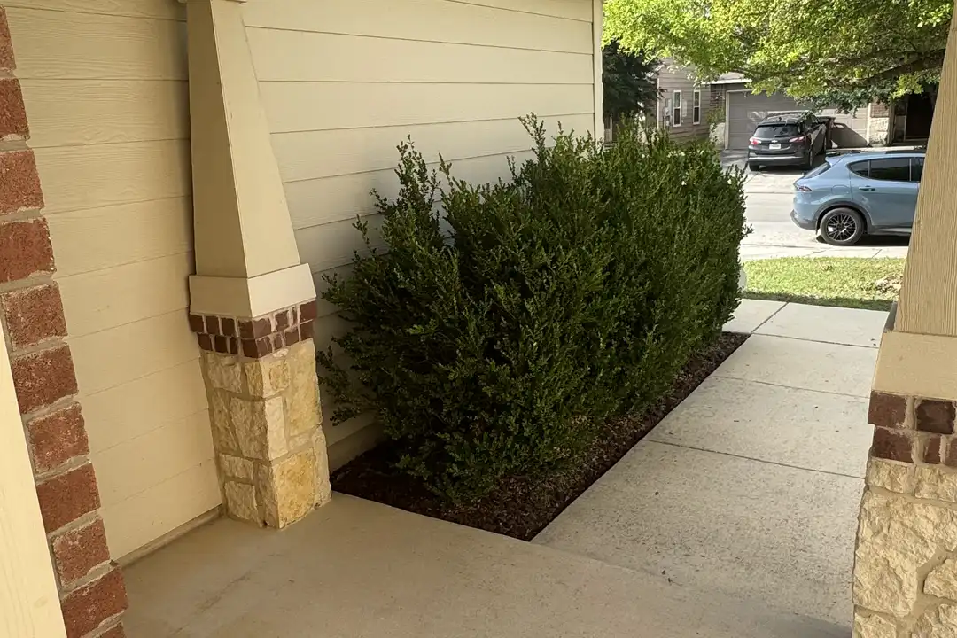 11914 Silver Coins - View 5