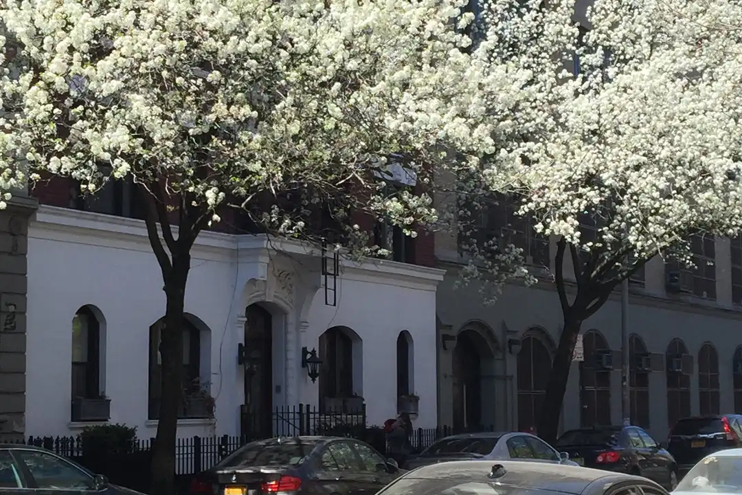 1-bedroom at 340 W 19th St unit — photo 1 of 12