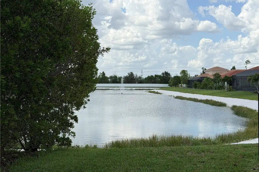 3202 Birchin Ln - View 3