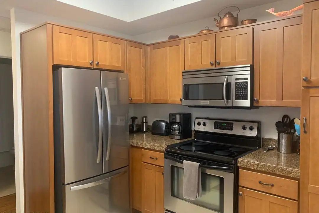 1500 E Pusch Wilderness Dr #15204 - View 3