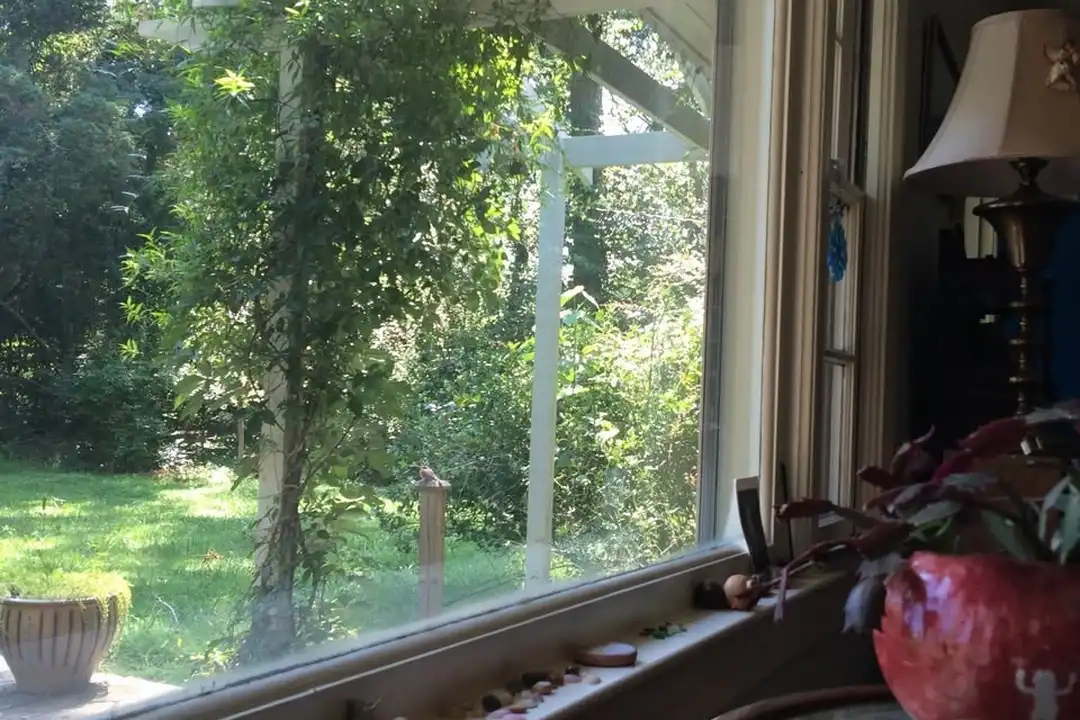 House in Chapel Hill - View 4